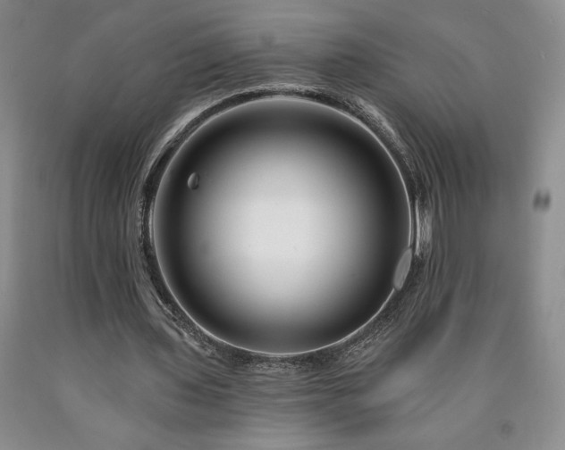 X0000090870435200707271254