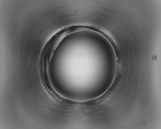 X0000090870436200707271254