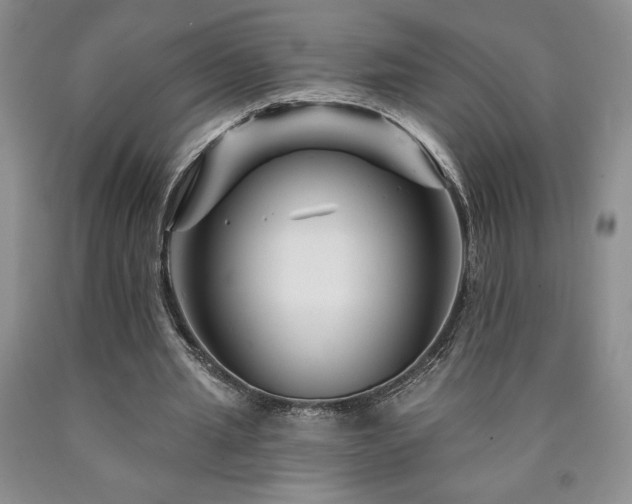 X0000090870437200707271254