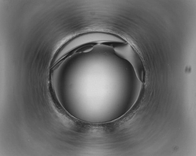 X0000090870438200707271254