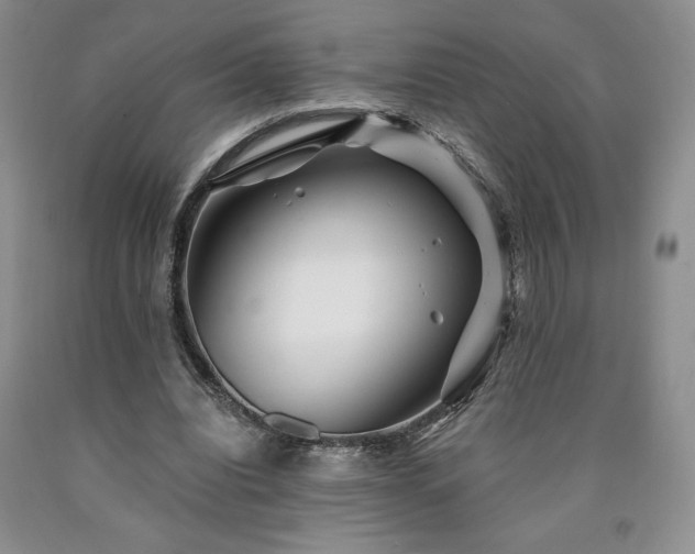 X0000090870440200707271254