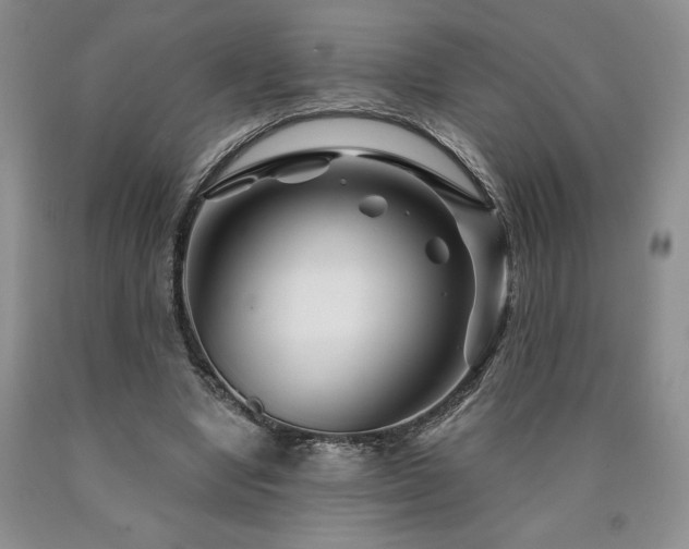 X0000090870442200707271254