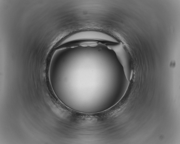 X0000090870443200707271254