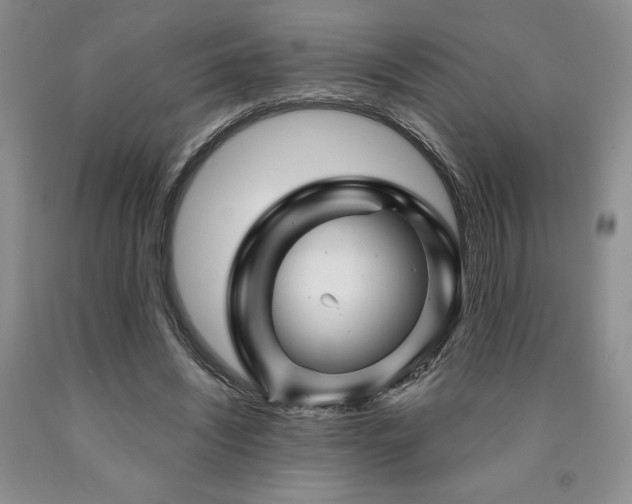 X0000090870444200707271254