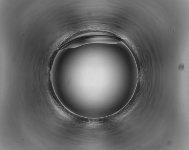 X0000090870445200707271254