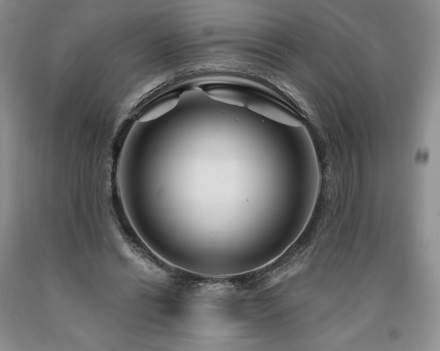 X0000090870446200707271254