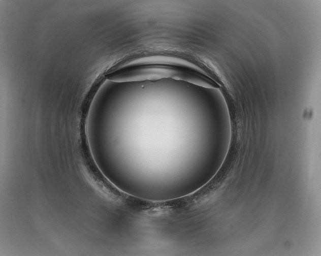 X0000090870447200707271254