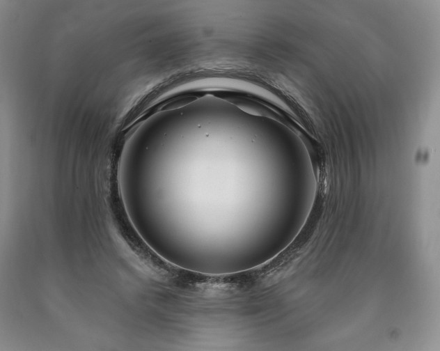 X0000090870448200707271254