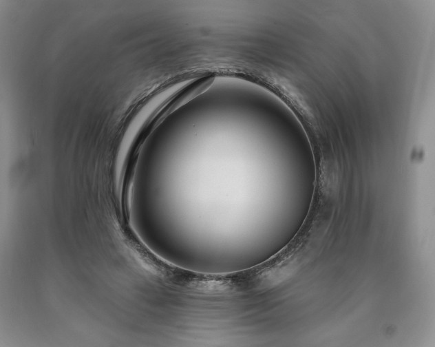 X0000090870449200707271254