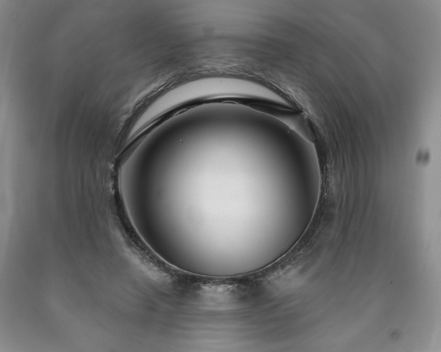 X0000090870450200707271254