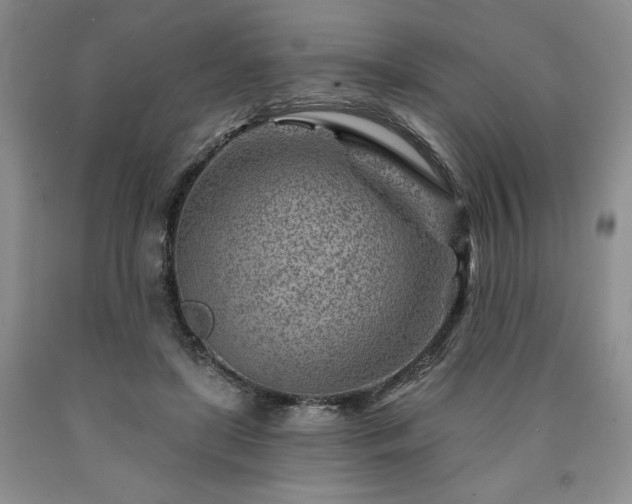 X0000090870451200707271254