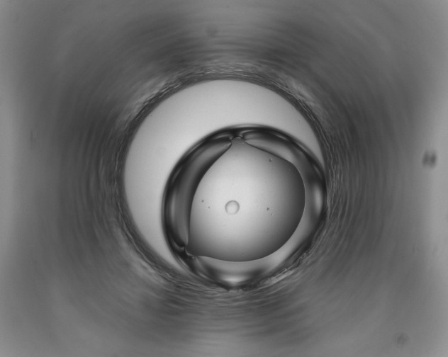 X0000090870452200707271254