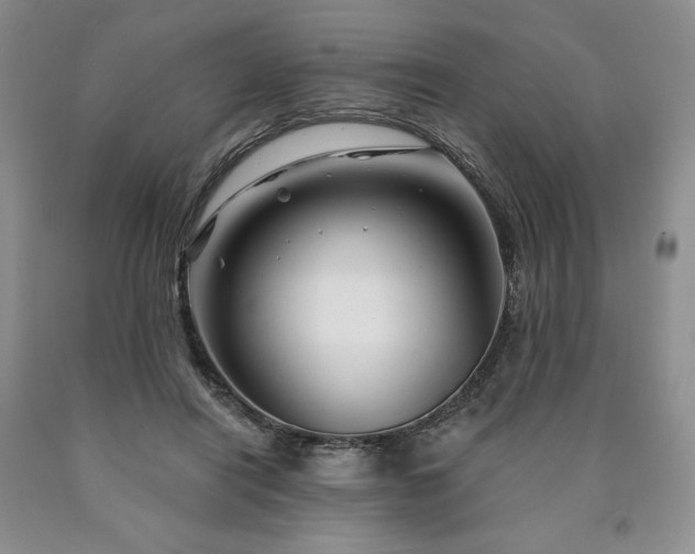 X0000090870454200707271254