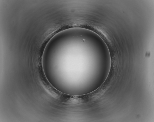 X0000090870455200707271254