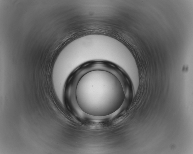 X0000090870456200707271254