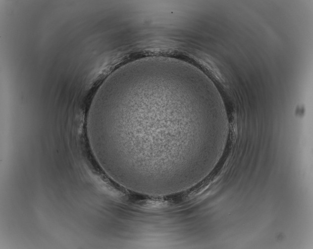 X0000090870458200707271254