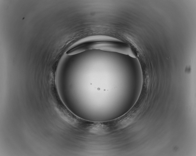 X0000090870459200707271254