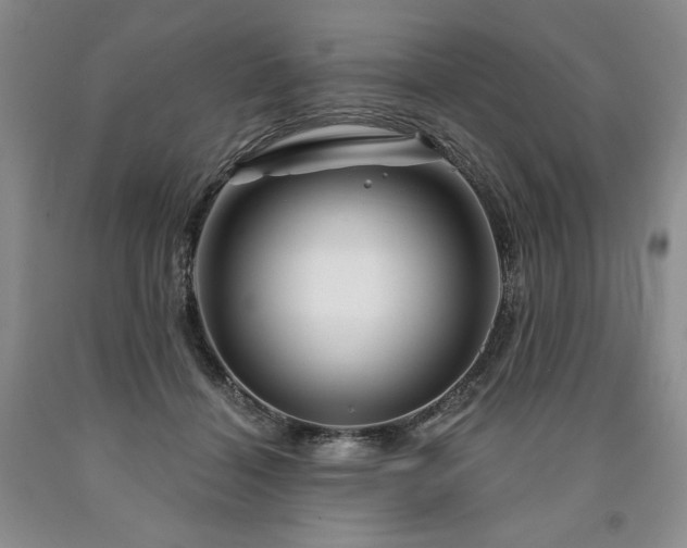 X0000090870460200707271254