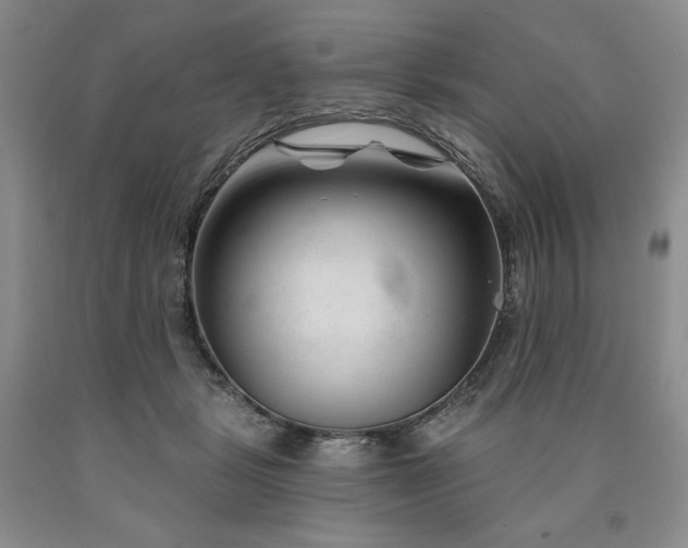 X0000090870461200707271254