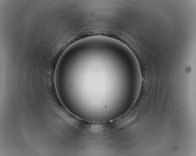 X0000090870462200707271254