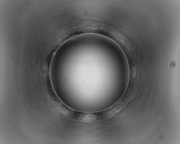 X0000090870463200707271254