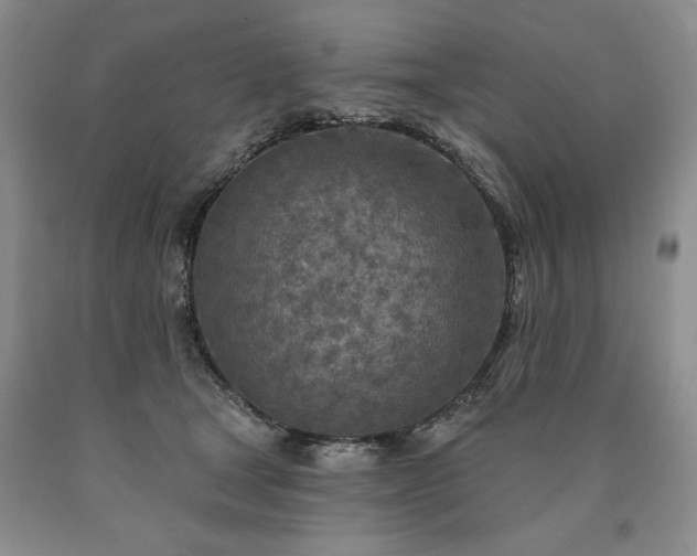 X0000090870465200707271254