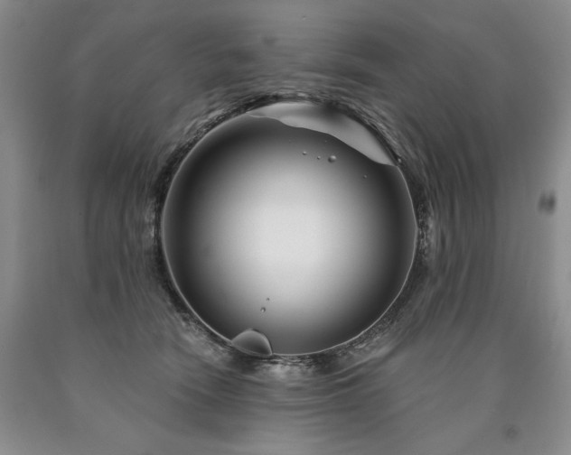 X0000090870466200707271254