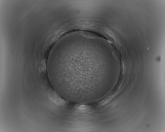 X0000090870467200707271254