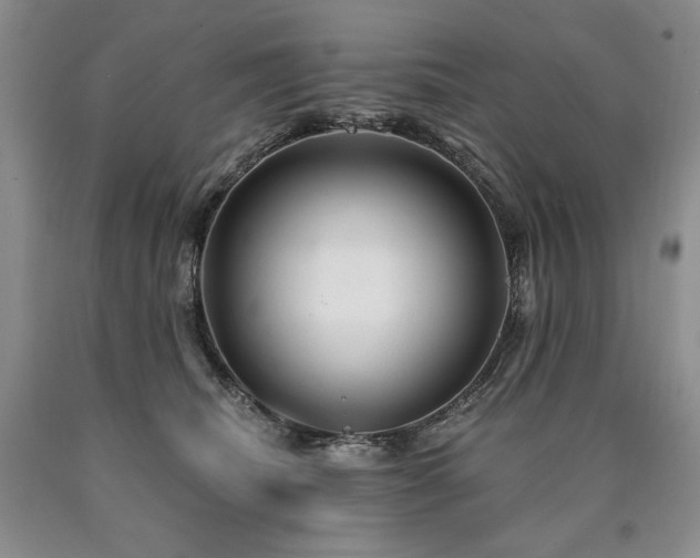 X0000090870468200707271254