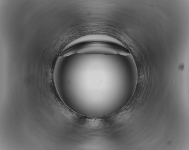 X0000090870469200707271254