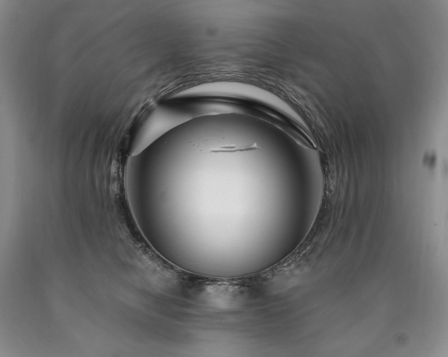 X0000090870470200707271254