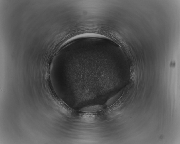 X0000090870471200707271254