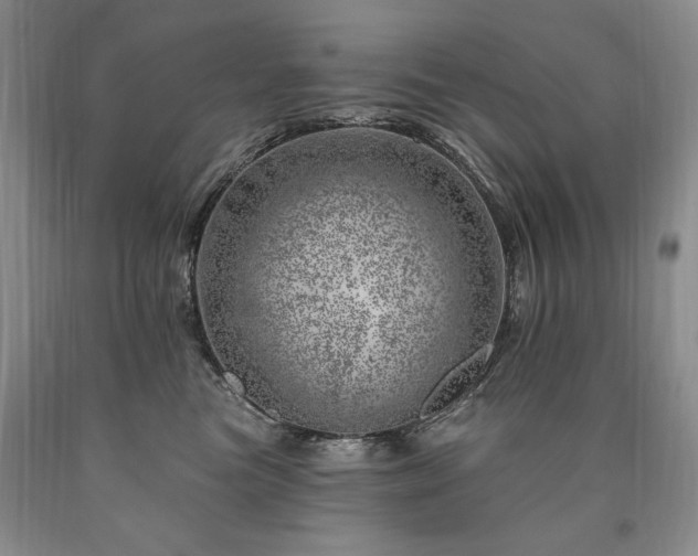 X0000090870473200707271254