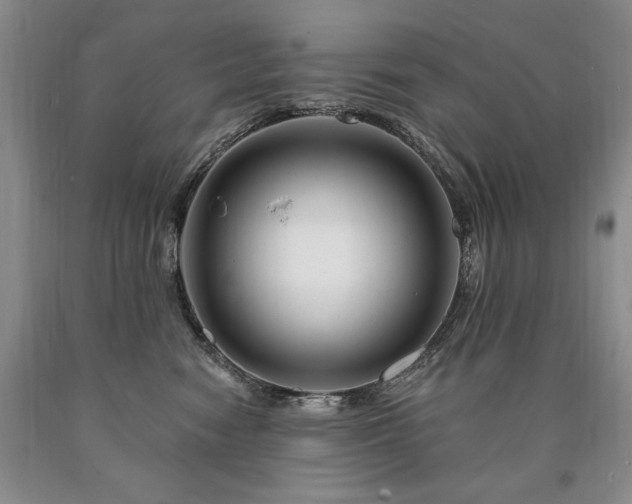 X0000090870474200707271254