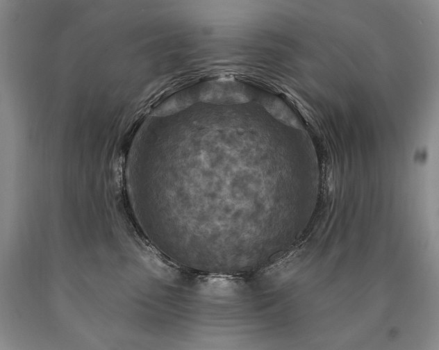 X0000090870475200707271254