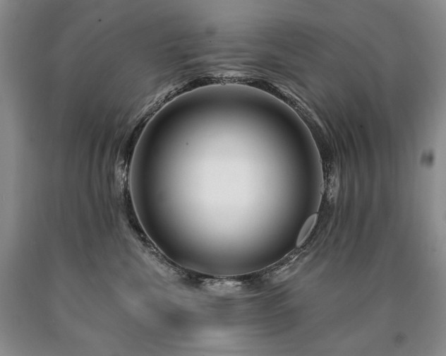 X0000090870476200707271254