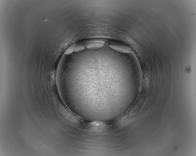 X0000090870477200707271254