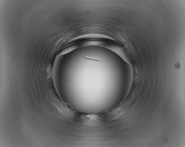 X0000090870478200707271254