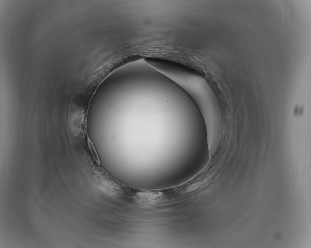 X0000090870480200707271254