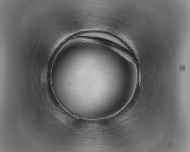 X0000090870483200707271254