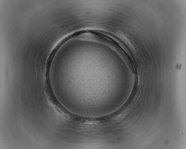 X0000090870484200707271253