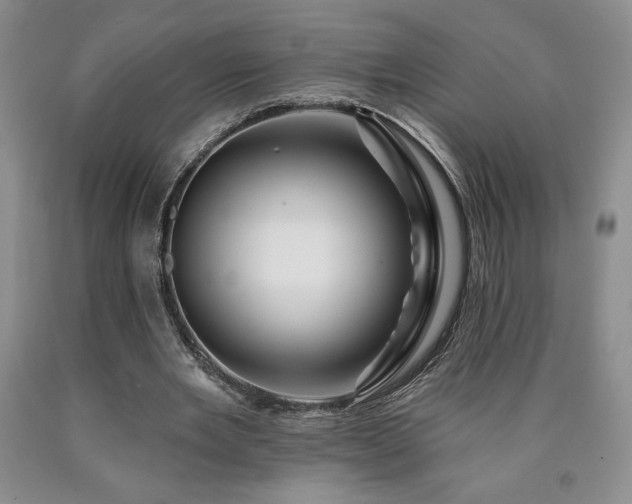 X0000090870485200707271253