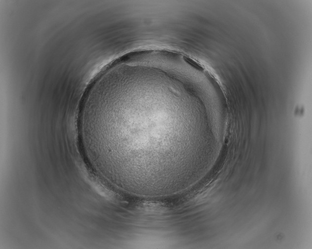 X0000090870487200707271253