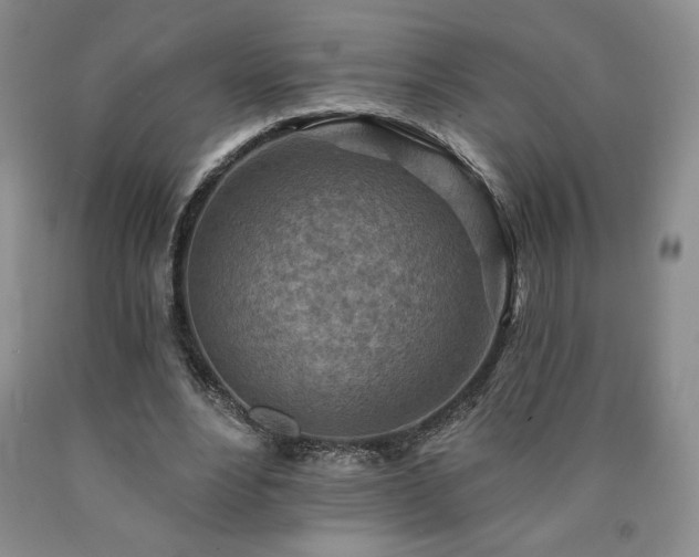 X0000090870488200707271253