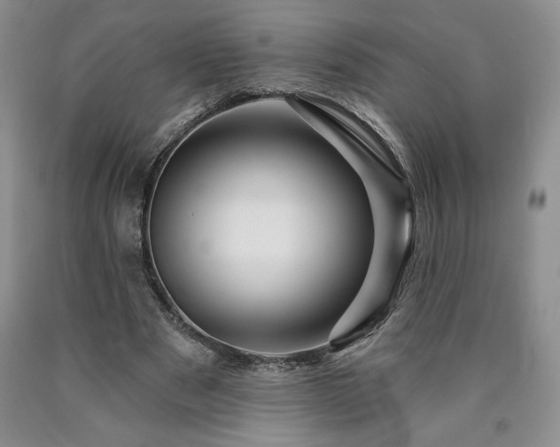 X0000090870489200707271253