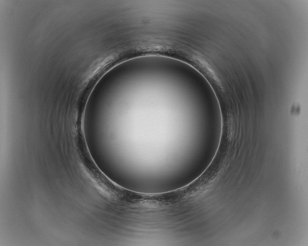 X0000090870490200707271253