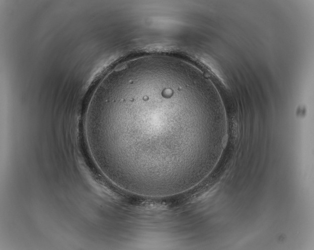 X0000090870491200707271253