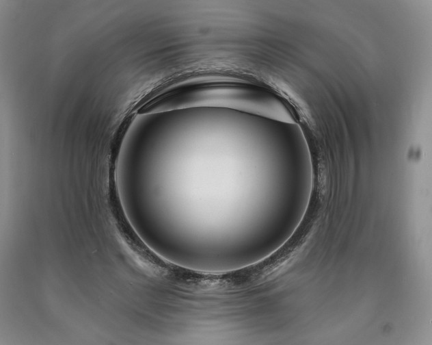 X0000090870493200707271253