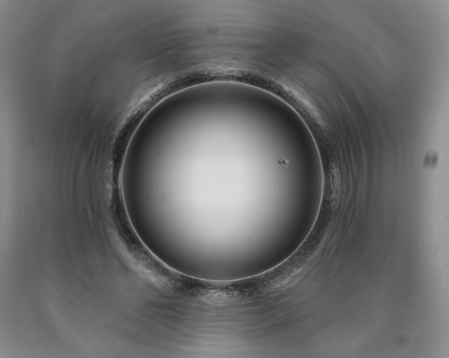 X0000090870494200707271253