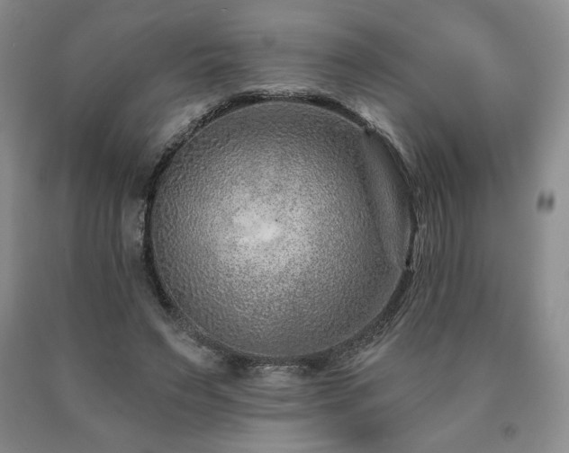 X0000090870495200707271253